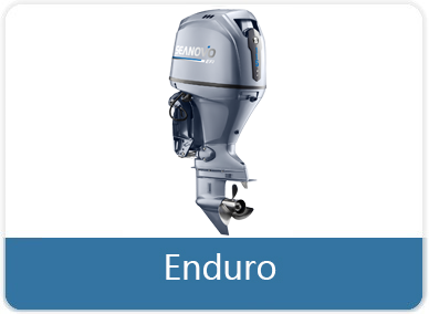 Enduro
